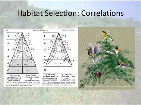 Ppt Habitat Selection Powerpoint Presentation Id6803606