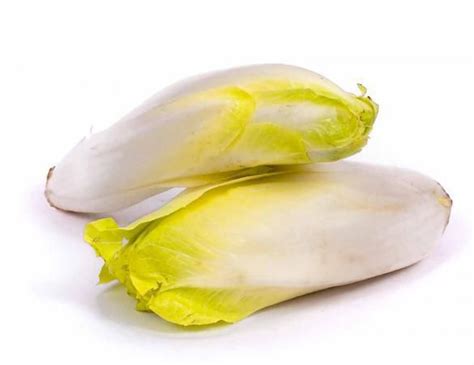 Цикорій звичайний - незвичайна користь