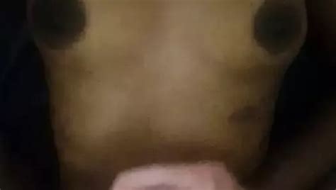 Durban Porn Videos XHamster