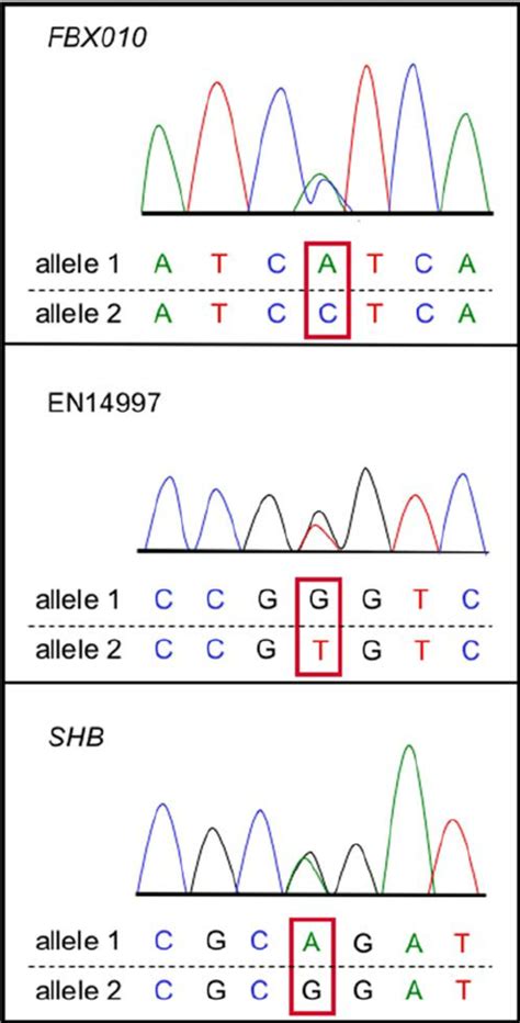 Biallelic Expression Of Three X Specific Genes Snps Marked By Boxes