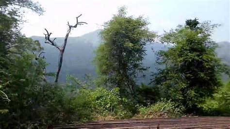 Mangalore To Bangalore Train Journey View Of Western Ghats Of Indian