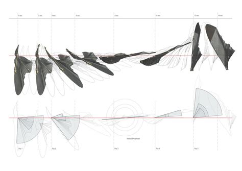 Movement drawing, Diagram architecture, Architecture drawing