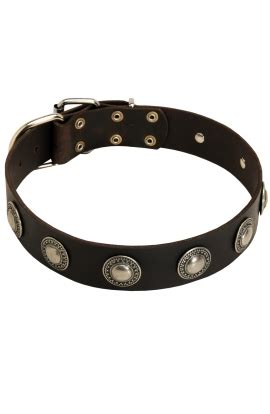 Buy Designer Leather Doberman Collar with Spikes | Dog Collars