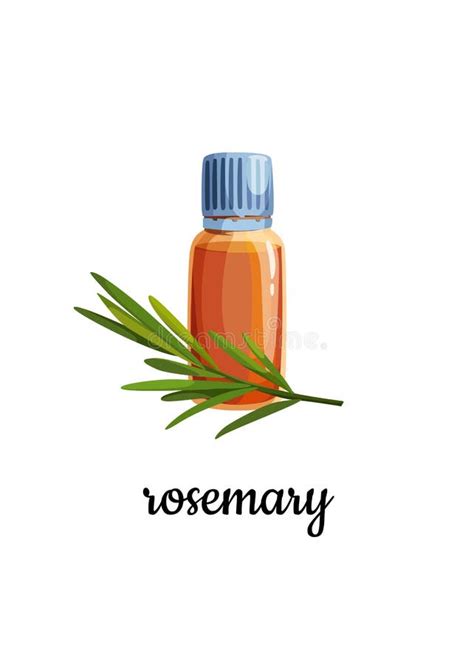 A Bottle Of Rosemary Essential Oil With A Sprig Of Rosemary Stock