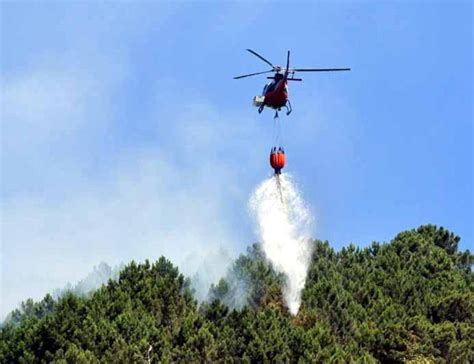 Torano Il Bosco Brucia Ancora Torna Lelicottero E Lo Spegne Il Tirreno