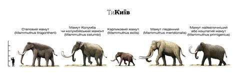 Повернення мамонтів у Київ
