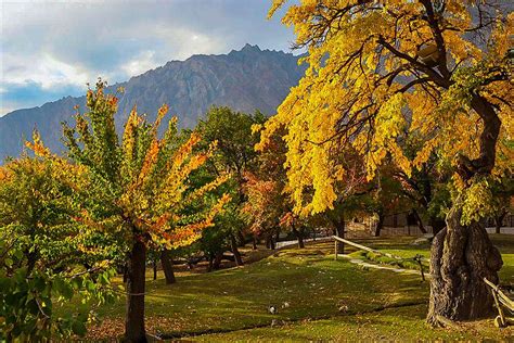 Hunza Valley - Hunza Trek & Tours