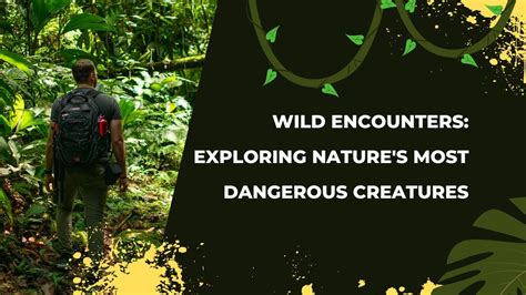 Wild Encounters Exploring Natures Most Dangerous Creatures Youtube