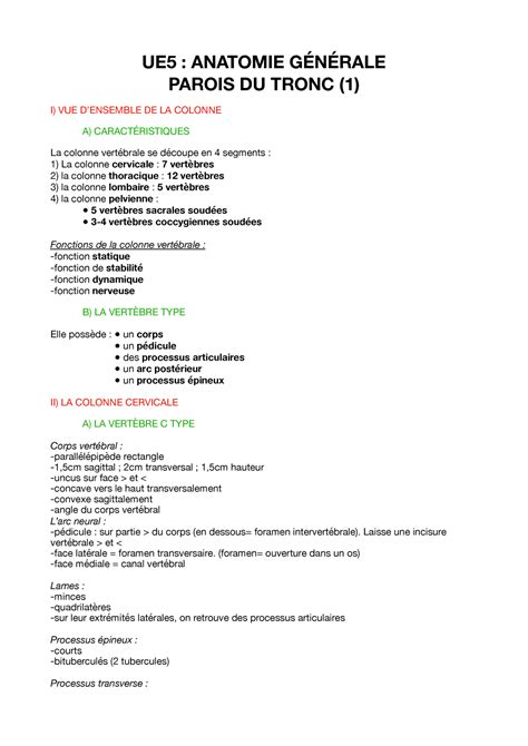 Ue Anatomie G N Rale Parois Du Tronc Ue Anatomie G N Rale