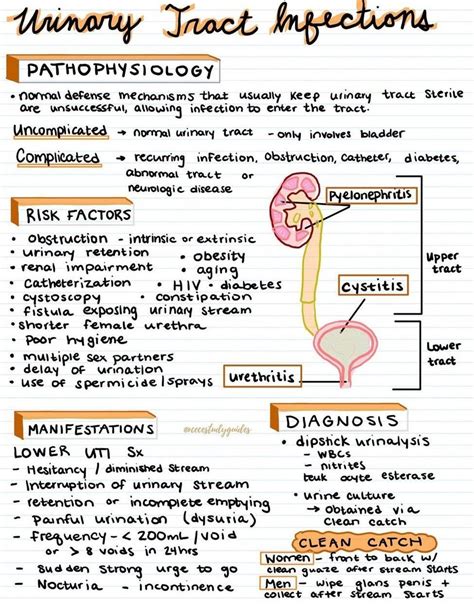 Urinary Tract Infections Medizzy