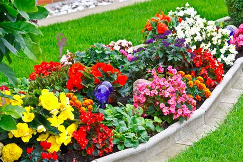 Aiuole Fiorite Ispirazioni Per Un Giardino A Colori Ispiratevi