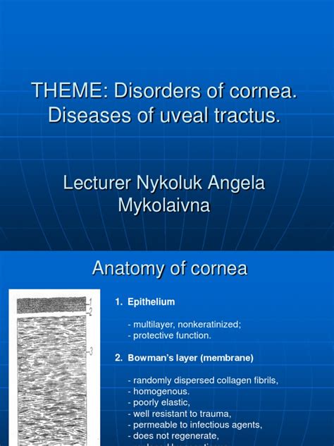 Disorders of Cornea. | PDF | Cornea | Diseases Of The Eye And Adnexa