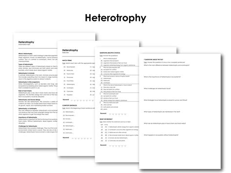 Heterotrophy | Made By Teachers