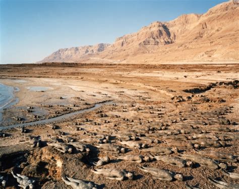 Spencer Tunick S Large SSale Nude Installations IGNANT
