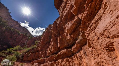 North Kaibab Trail 41 | ProArtInc