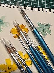 Starvast Paint Brushes Pcs Artist Paint Brushes Set Fine Pointed