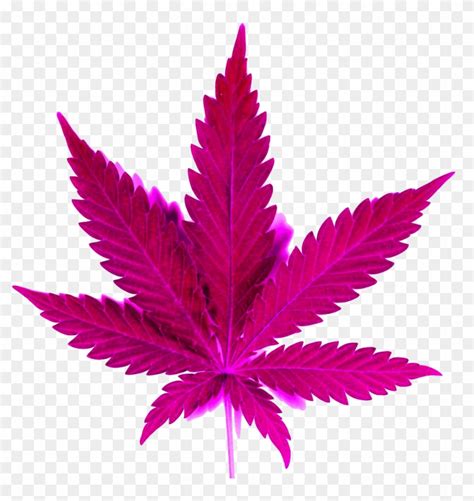 Marijuana Clipart Transparent - Marijuana Leaf, HD Png Download ...