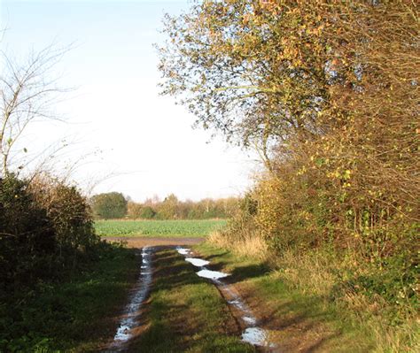 Path Through Fields East Of Mulbarton © Evelyn Simak Cc By Sa 2 0