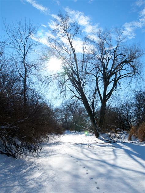 Skiing and Snowshoeing on the Glacial Drumlin Trail - Glacial Drumlin ...