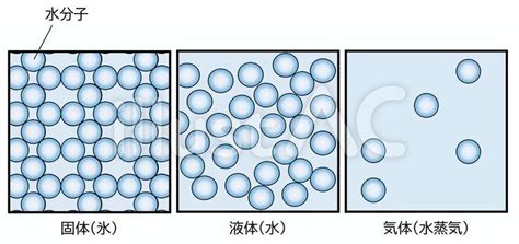 vectors molecular model illustration  water solid liquid gas