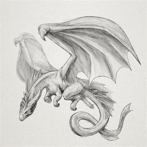 Pin On Animal Drawings Dragon Sketch Sketches Pencil Drawings Of