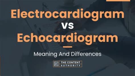 Electrocardiogram Vs Echocardiogram Meaning And Differences