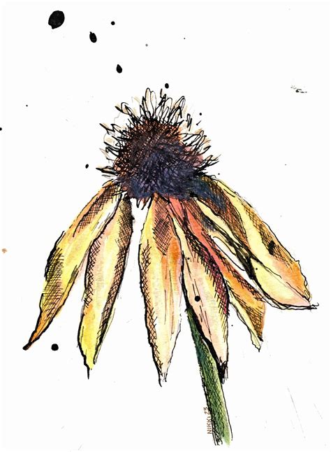 Flower Drawing Ink Drawing Drawings Painting Art Projects