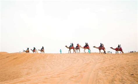 3-Night Morocco Camel Trek in Merzouga - Camel Trekking In Merzouga