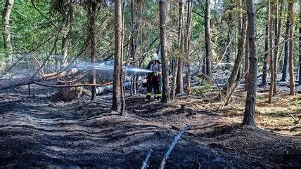 Lehrte Nach Waldbrand bei Hämelerwald noch viel Arbeit für Feuerwehr