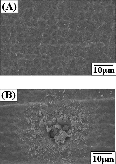 SEM Micrographs Of Surface Morphology For The YSZ Coated AZ31 Mg Alloys