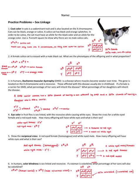 Sex Linked Problems Name Practice Problems Sex