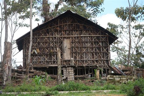 Rumah Kaki Seribu (thousand feet house), a traditional hut in the highlands of West Papua, New ...