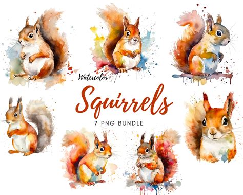 Squirrel Art Watercolor Squirrel Clipart Watercolor - Etsy