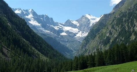 Hiking in Gran Paradiso National Park - Trekking Alps