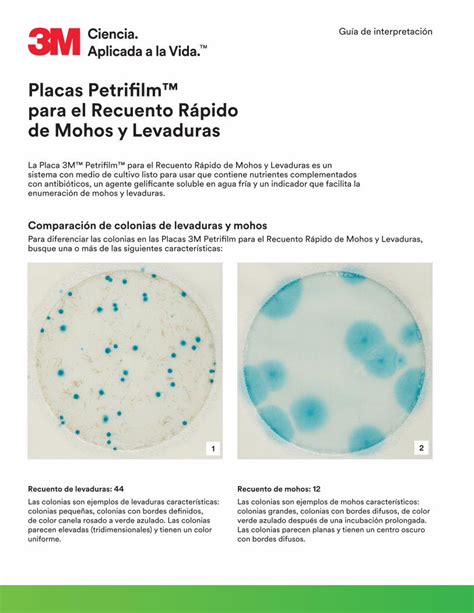 Pdf Placas Petrifilm Para El Recuento R Pido De Mohos Y Levaduras