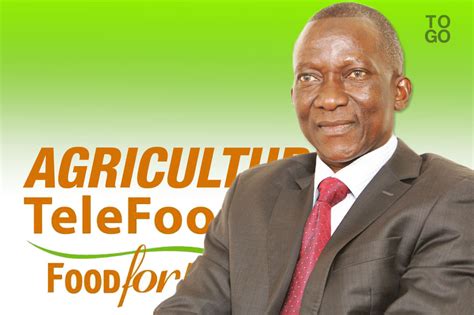 Togo: Agriculture set a record | Medafrica Times