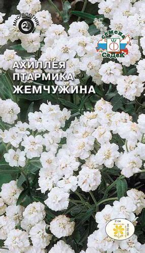 Семена цветов: Многолетники - интернет-магазин СеДеК