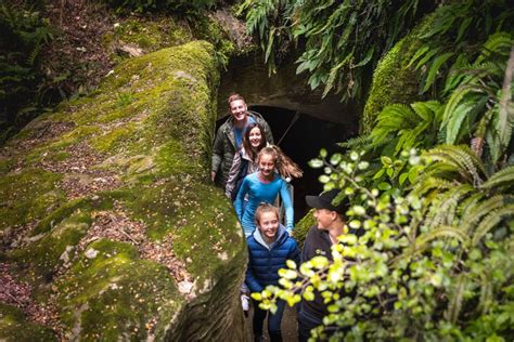 Te Anau: Glowworm Caves Guided Tour | GetYourGuide