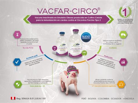 Farvet Farvet Lanza Nueva Vacuna Contra El Circovirus Porcino