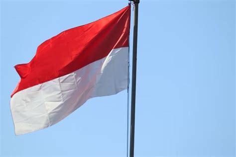 Inilah Negara Yang Pertama Mengakui Dan Mendukung Kemerdekaan Indonesia