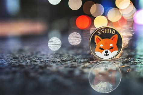 Shiba Inu Launches Shib Burning Portal