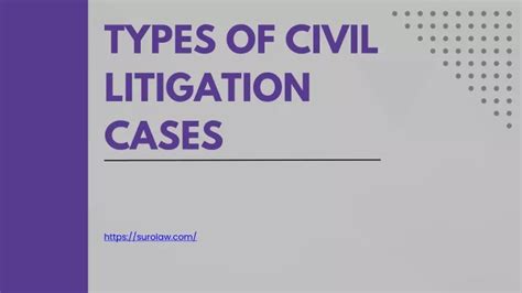 PPT - Types of Civil Litigation Cases PowerPoint Presentation, free ...