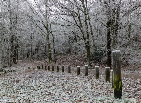 Freezing Fog La Fosse Artour Normandy France Tony Wright Flickr