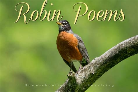 Robin Poems Homeschooling On A Shoestring