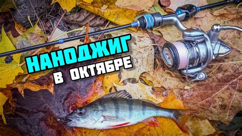НАНОДЖИГ | Ловля окуня и ротана в Тульской области | Спиннинг Гаммарус ...