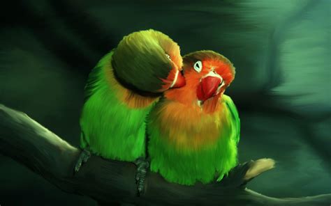 Love Bird Wallpapers Wallpaper Cave