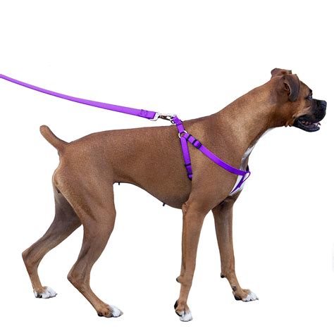 Gooby Escape Free Sport Dog Harness For Dogs That Pulls And Escapes