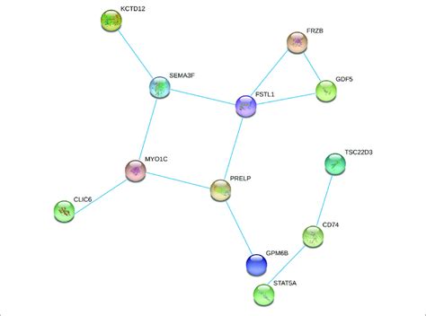 Protein Protein Interaction Network Constructed From Methylated Degs