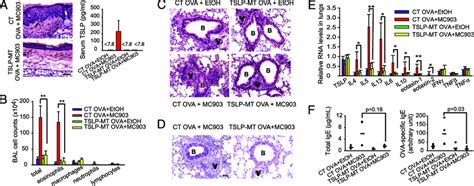 Selective Ablation Of TSLP In Epidermal Keratinocytes Suppresses The