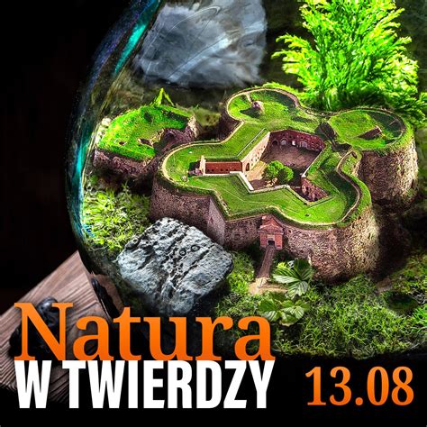 Natura w Twierdzy Twierdza Srebrna Góra